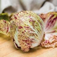 Салат цикорний Луція (Чехія) за 30 нас.