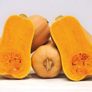 Гарбуз Матільда