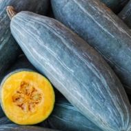 Гарбуз Блакитний банан