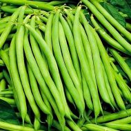 Квасоля спаржева Настенька