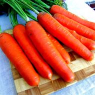 Морква Анета F1