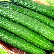 Огурец Чонгшенг за 20 сем.