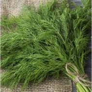 Кріп Геркулес