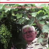 Виноград.Вино