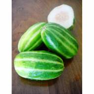 Огірок-диня Кароселло із Гравіни за 20 нас.