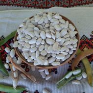 Квасоля Стрийський Ясь