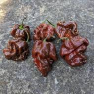 Горький перец 7 Пот Чагуанас за 3 сем.