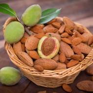 Саженец Миндаль Джорджия