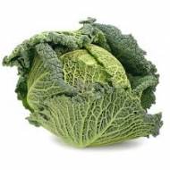 Капуста савойская Вертю за 0,5 г