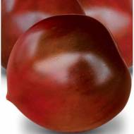 Томат Небеса Оригоны за 0,1 г