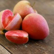 Саджанець Яблуня Пінк Перл (Pink Pearl)