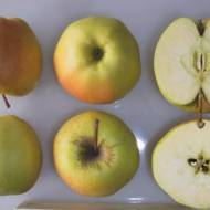 Саджанець Яблуня Голден Смуті (Golden Smoothee)