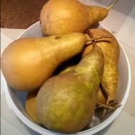 Саджанець Груша Кон Корд (Con Cord)