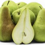 Саженец Груша Конкорд (Concord)