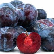 Саджанець Сливa Блек Спендор (диплоїдна)