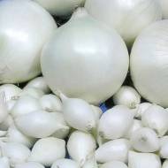 Цибуля саджанка Айсбір