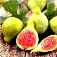 Саджанець Інжир Кордерія в контейнері