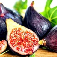 Саджанець Інжир Рандіно в контейнері