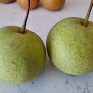 Саджанець Груша Шин-Лі