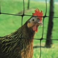 Сітка вольєрна чорна