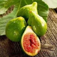 Саджанець Інжир Далматський