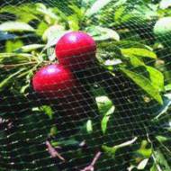 Захисна сітка від птахів