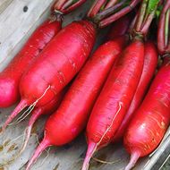 Редиска Червоний велетень за 2 г