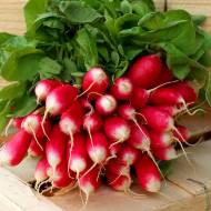 Редиска Богиня