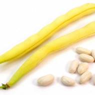 Фасоль Масленый Король