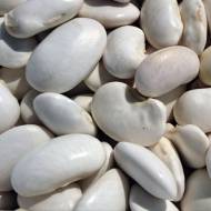 Квасоля Лімська Біла