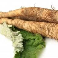 Їстівний лопух за 0,3 г