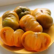 Томат Гном Улуру Охра (колекційний) за 10 нас.