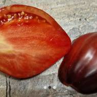 Томат Малинові носики Сержанта Пеппера (колекційний) за 10 нас.