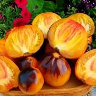 Томат Руда комета Софії (колекційний) за 10 нас.