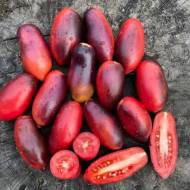 Томат Сливка Гурман (колекційний) за 10 нас.