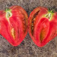 Томат Гном Пурпурове серце (колекційний) за 12 нас.