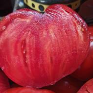 Томат Мама Кассанеллі за 10 нас.