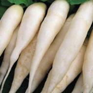 Редиска Світлячок (Чехія) за 2 г