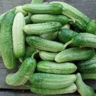 Огурец Воргебинштраубе за 0,5 г
