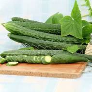 Огурец Гуанчжоу жароустойчивый за 20 сем.