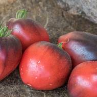 Помидор Сержант Пеппер (коллекционный) за 0,1 г