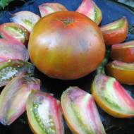 Томат Античная бронза за 10 сем.