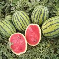 Арбуз Бедуин F1