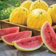 Арбуз Ред ин голд F1