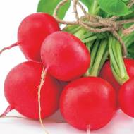 Редис Гигант сардинии за 200 сем.