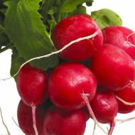 Редис Яркая звезда за 20 г