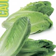 Салат Хрусткий з Авінйону за 500 нас.