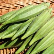 Бамія Луїзіана за 20 нас.