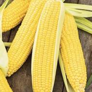 Кукурудза Справжнє золото за 20 г