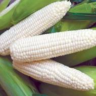 Кукурудза Гірський сніг за 10 г